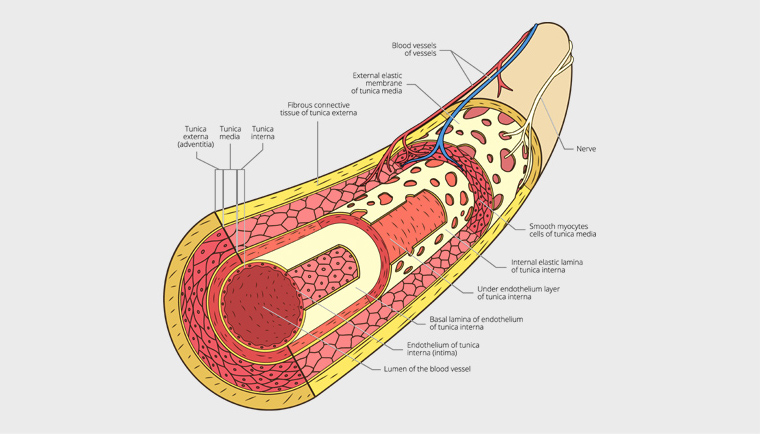 Проширени капилари на лице